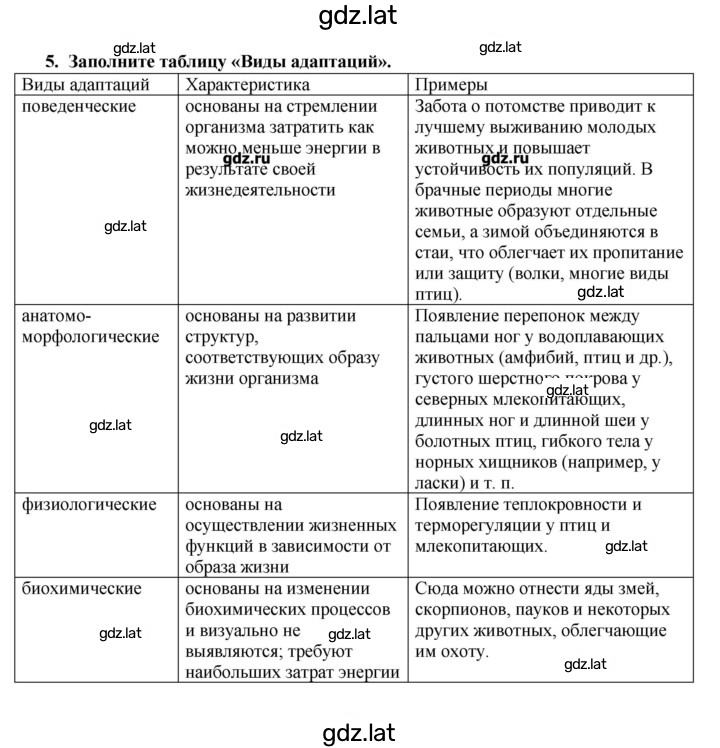 Решение задания № 5 — страница 1