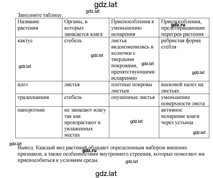 Решение задания № 7 — страница 2