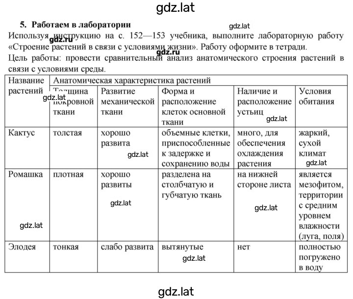 Решение задания № 5 — страница 1