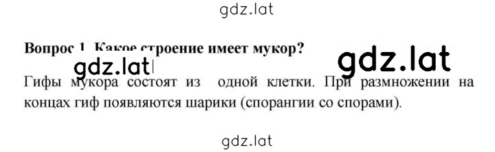 Решение задания № 1 — страница 1