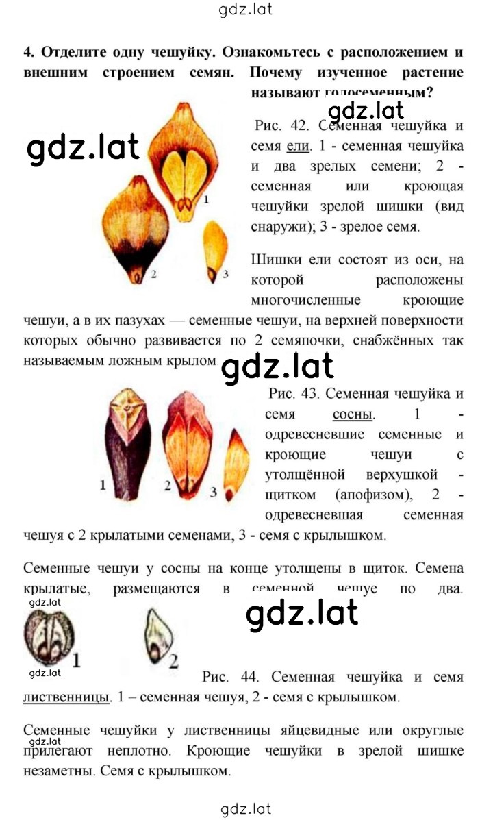 Решение задания № 4 — страница 1
