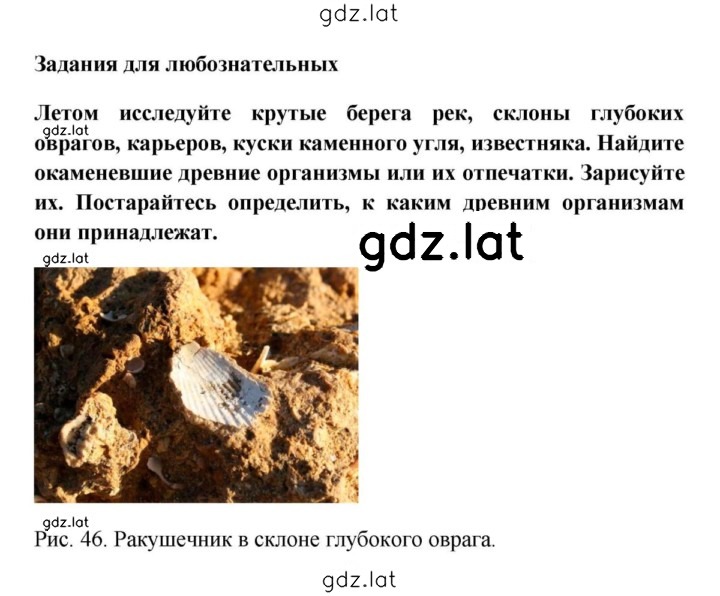 Решение задания № 1 — страница 1