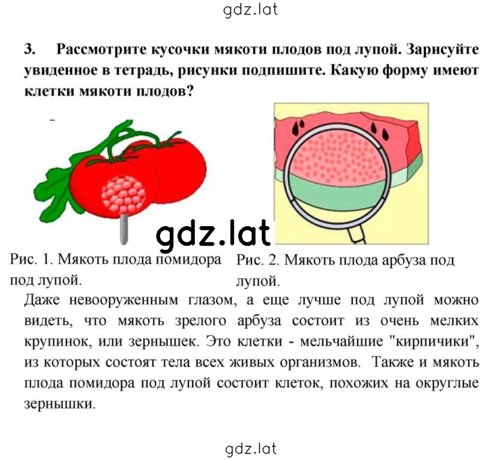 Решение задания № 3 — страница 1
