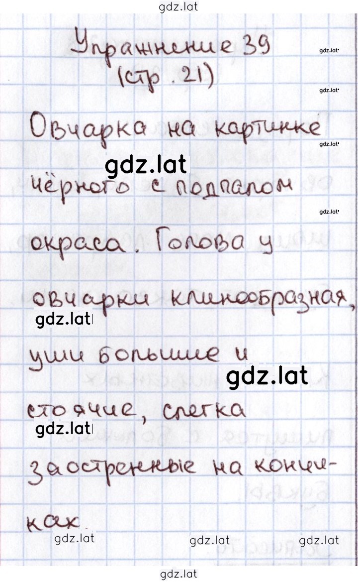 Решение задания № 39 — страница 1