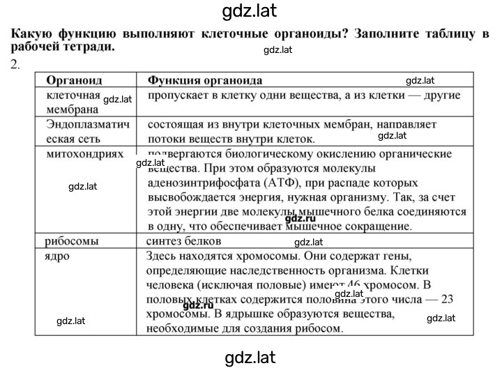Решение задания № 2 — страница 1
