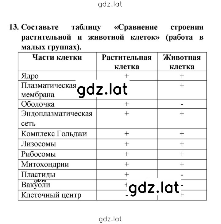 Решение задания № 13 — страница 1