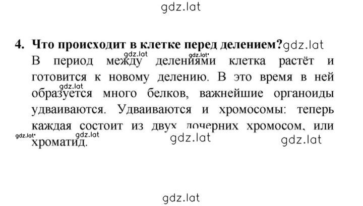 Решение задания № 4 — страница 1