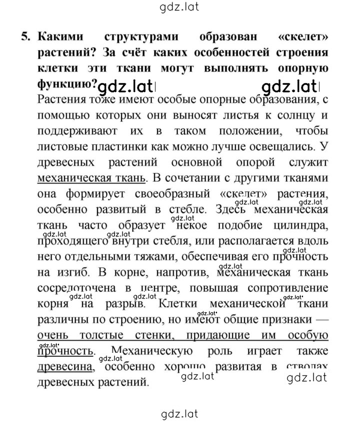 Решение задания № 5 — страница 1