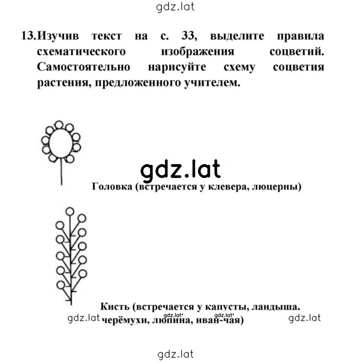 Решение задания № 13 — страница 1