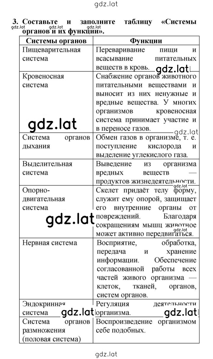 Решение задания № 3 — страница 1