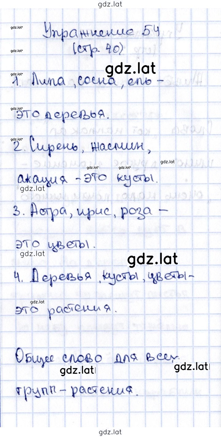 Решение задания № 54 — страница 1