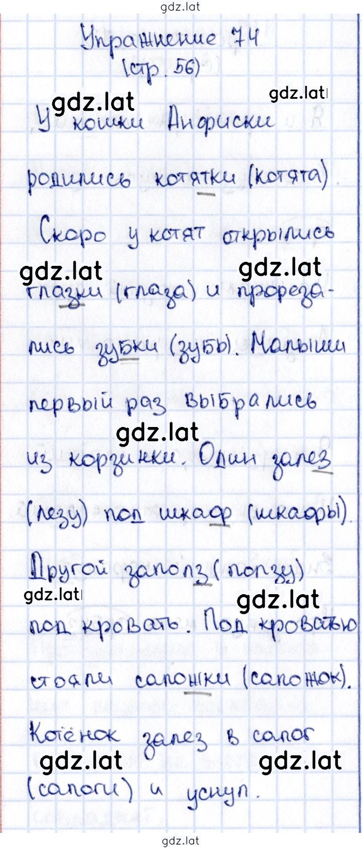 Решение задания № 74 — страница 1