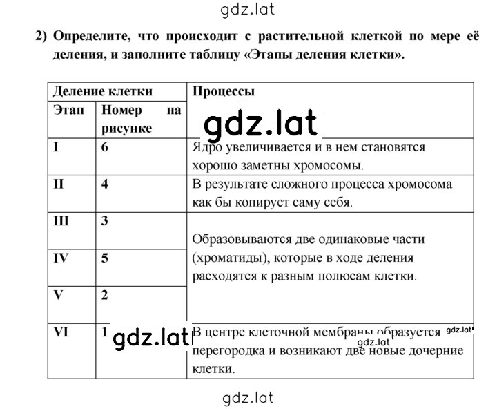 Решение задания № 1 — страница 2