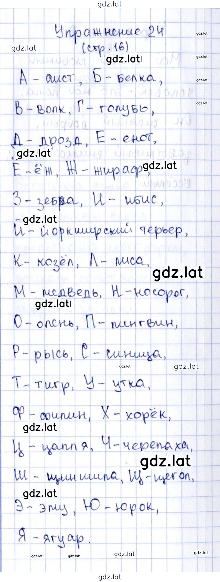 Решение задания № 24 — страница 1