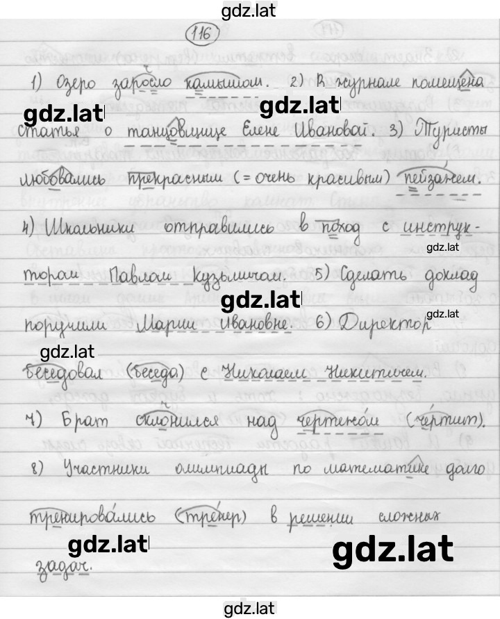 Решение задания № 116 — страница 1