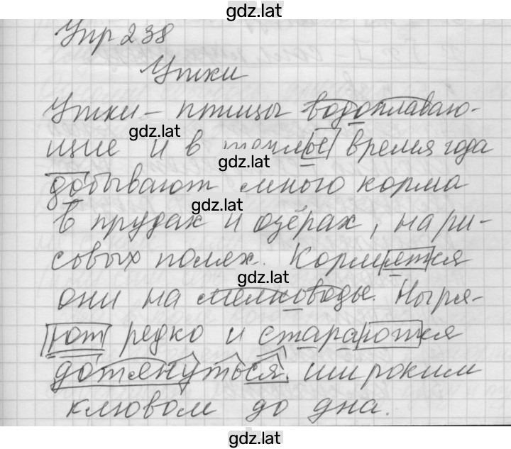Решение задания № 238 — страница 1