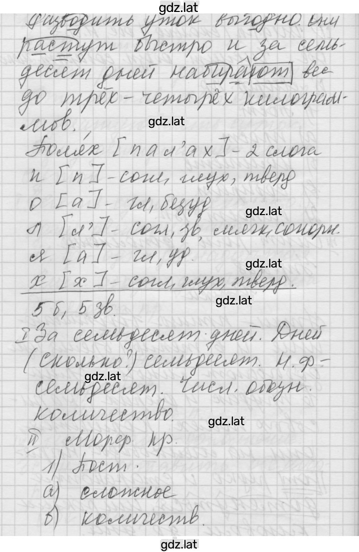 Решение задания № 238 — страница 2