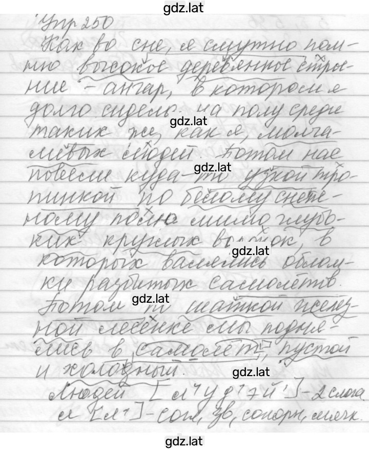 Решение задания № 250 — страница 1