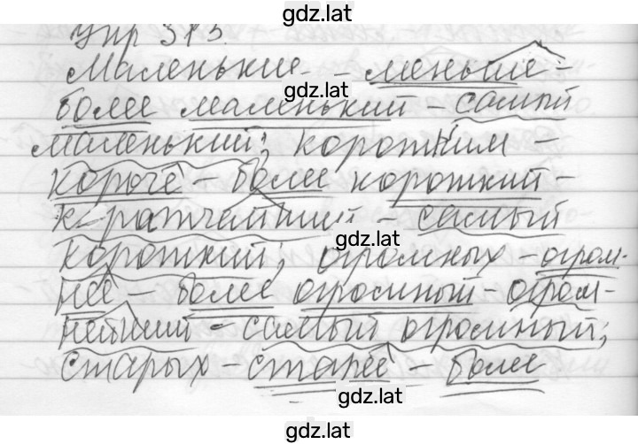 Решение задания № 313 — страница 1