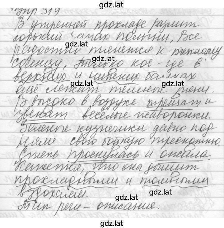 Решение задания № 319 — страница 1