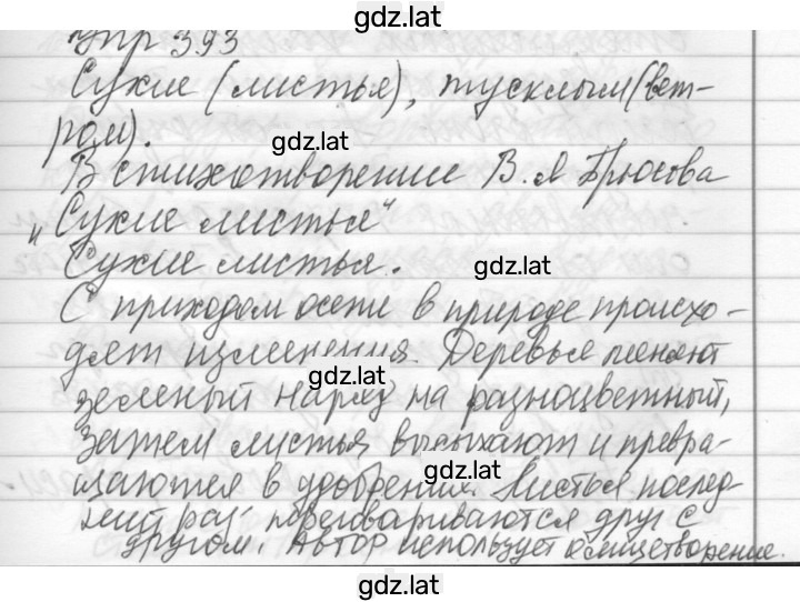 Решение задания № 393 — страница 1