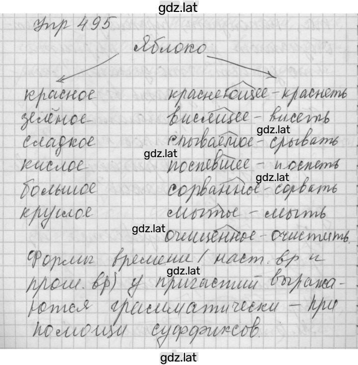 Решение задания № 495 — страница 1