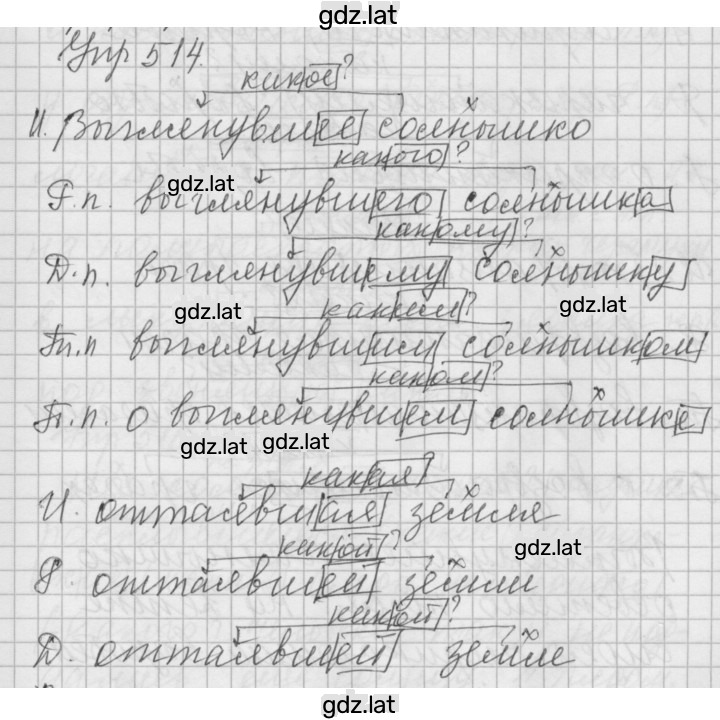 Решение задания № 514 — страница 1