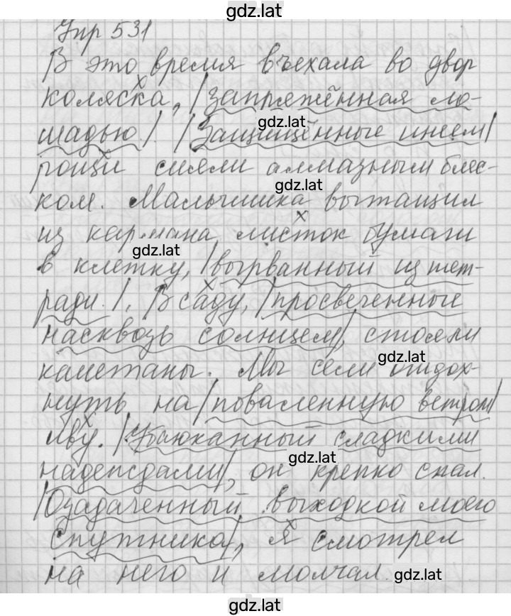 Решение задания № 531 — страница 1