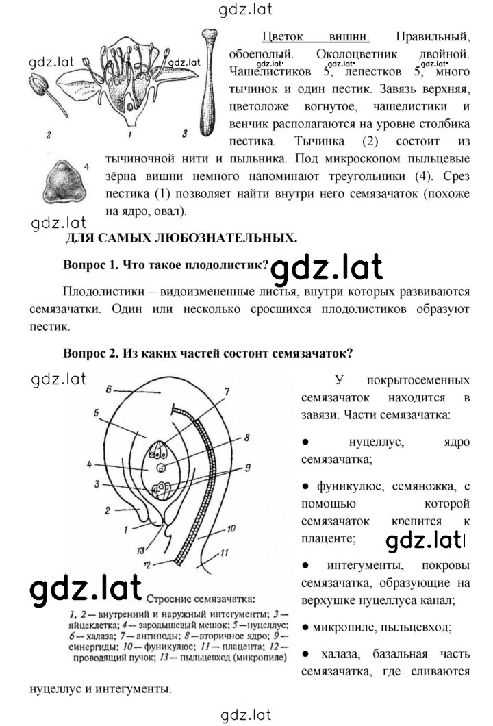 Решение задания № § 1 — страница 5