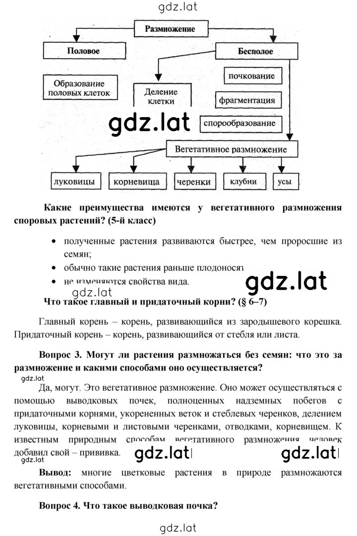 Решение задания № § 13 — страница 2