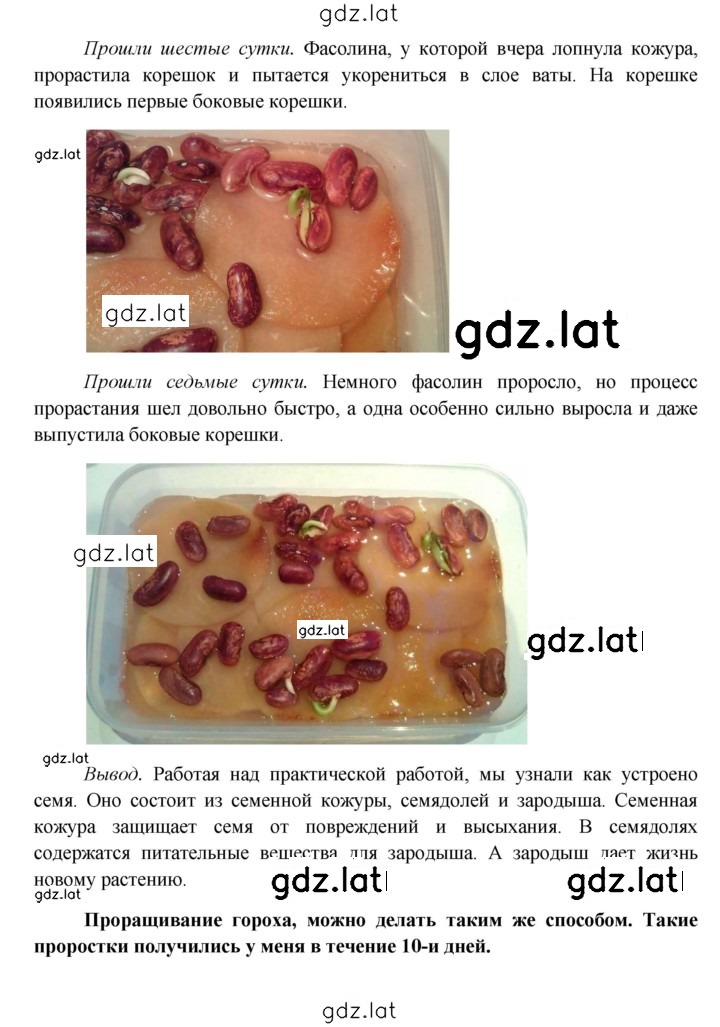 Решение задания № § 17 — страница 6