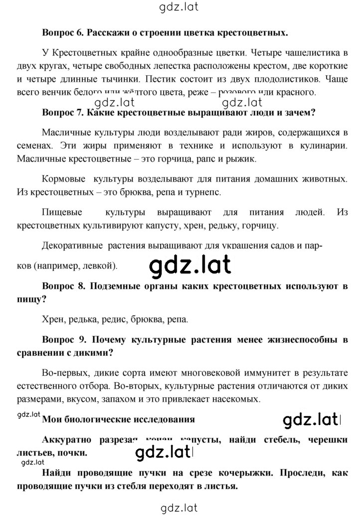 Решение задания № § 19 — страница 4