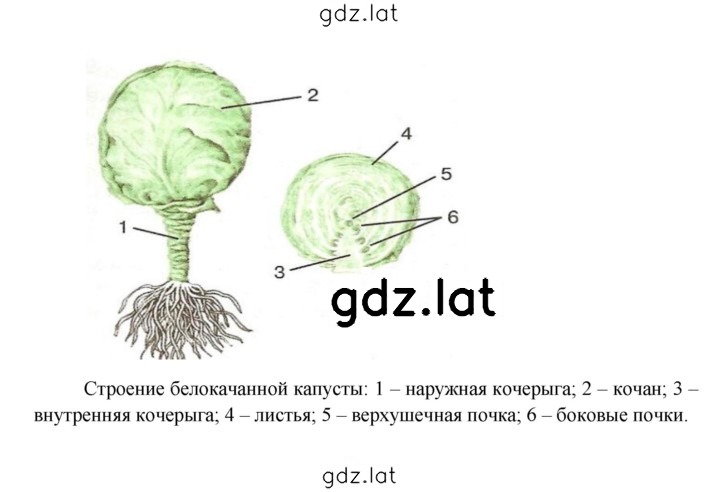 Решение задания № § 19 — страница 5