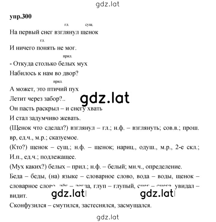 Решение задания № 300 — страница 1