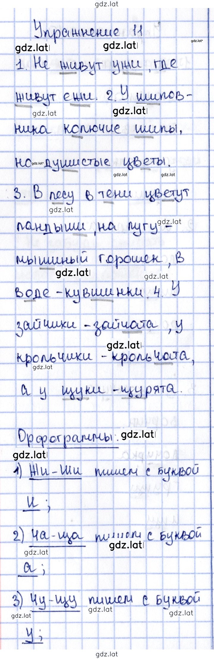 Решение задания № 11 — страница 1
