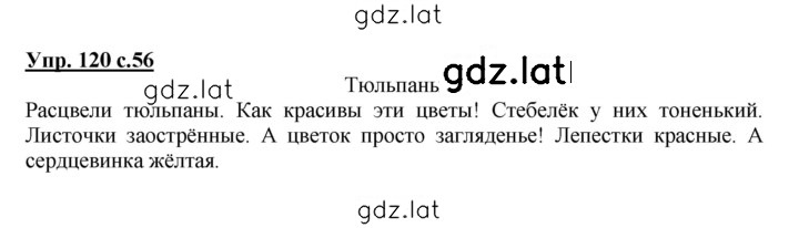 Решение задания № 120 — страница 1