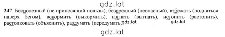 Решение задания № 247 — страница 1
