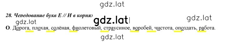 Решение задания № §28 — страница 1