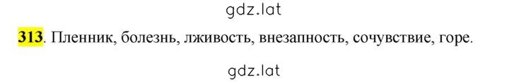 Решение задания № 313 — страница 1