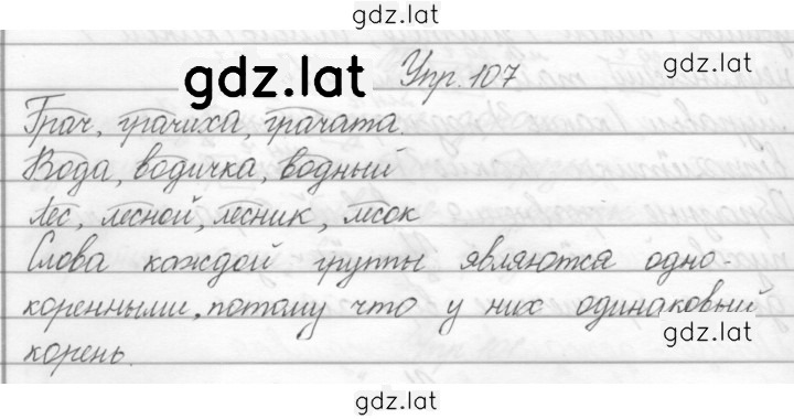 Решение задания № 107 — страница 1