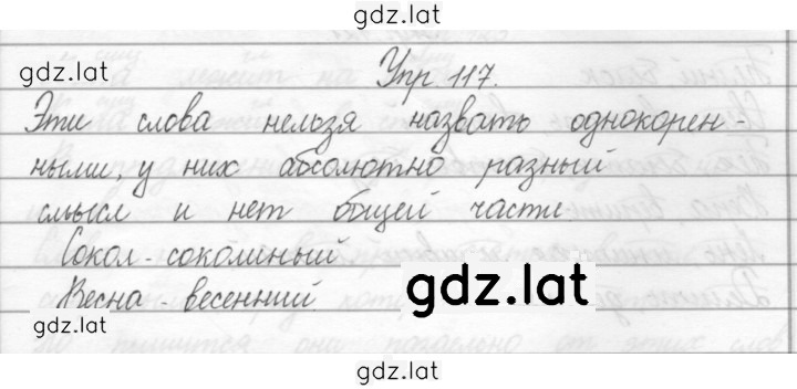 Решение задания № 117 — страница 1