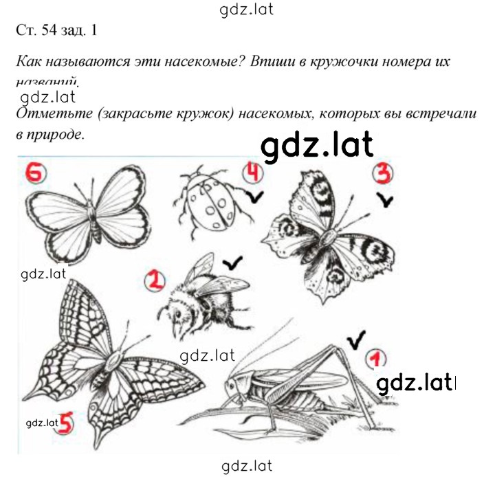 Решение задания № 54 — страница 1