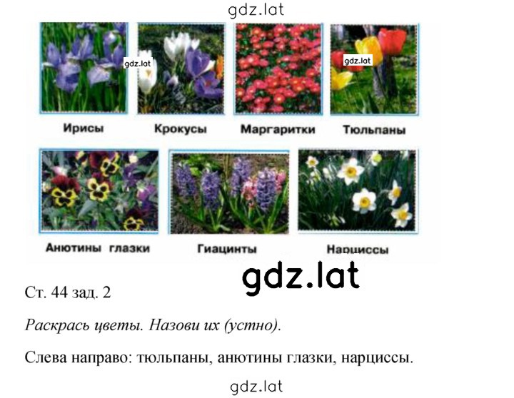 Решение задания № 44 — страница 2