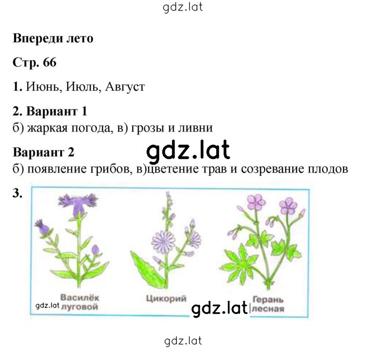 Решение задания № 66 — страница 1