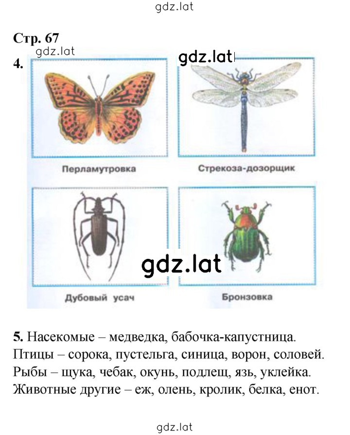 Решение задания № 67 — страница 1