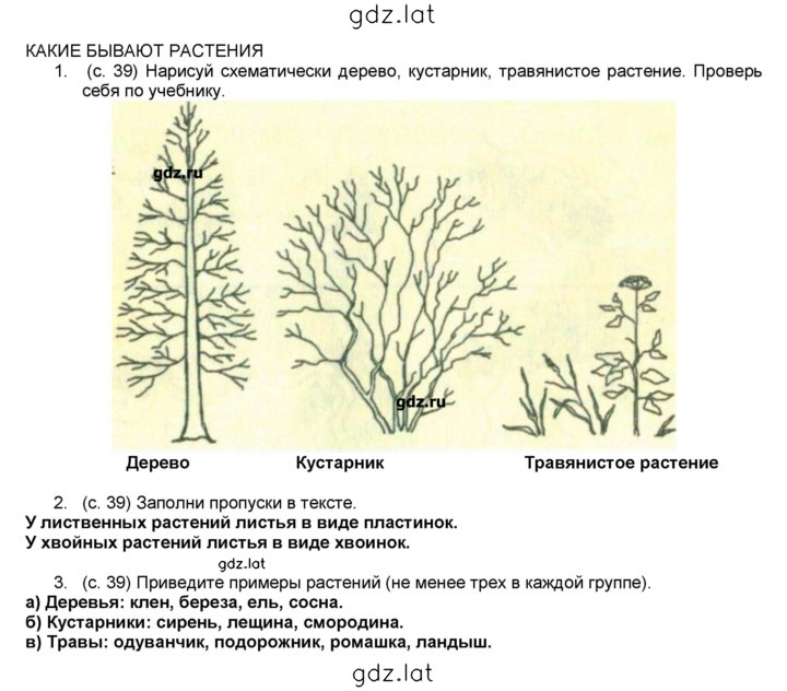 Решение задания № 39 — страница 1