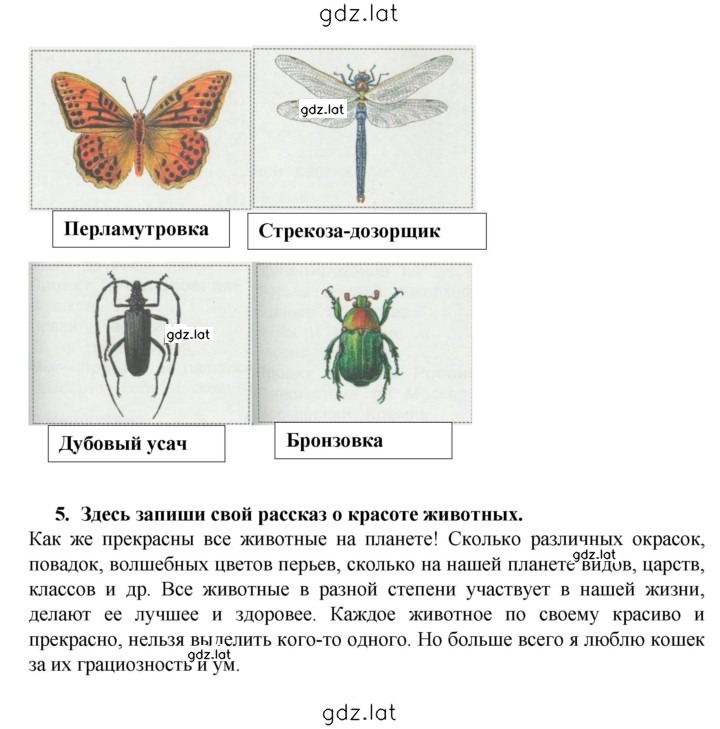 Решение задания № 84 — страница 3