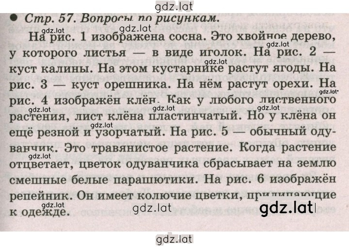 Решение задания № 57 — страница 1