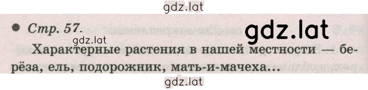 Решение задания № 57 — страница 2