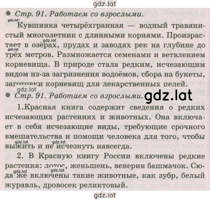 Решение задания № 91 — страница 1
